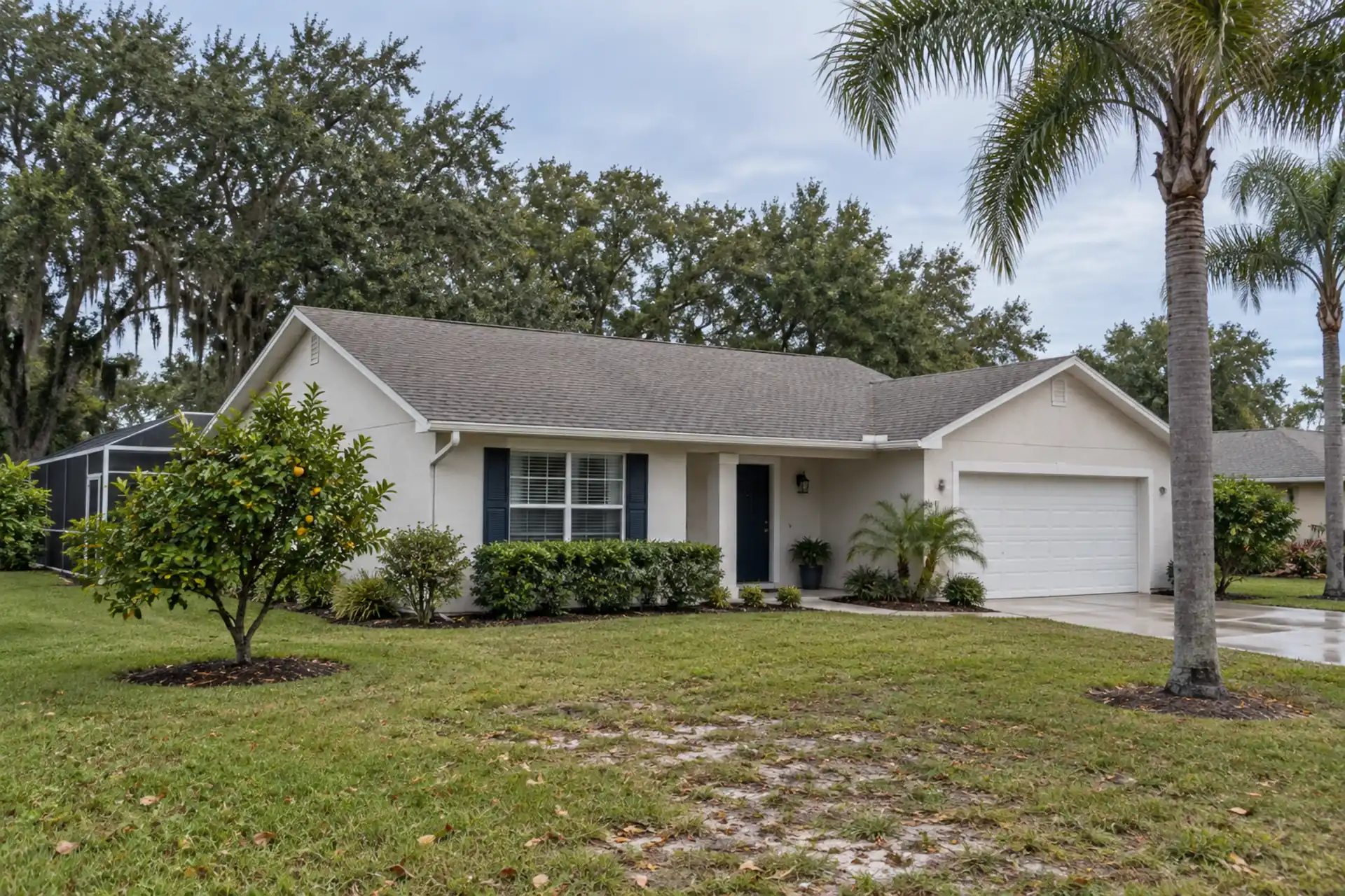 A stucco ranch with a shallow porch and a small citrus tree.